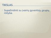 Įvairių gyventojų grupių mityba 2 puslapis