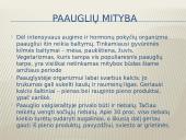 Įvairių gyventojų grupių mityba 13 puslapis