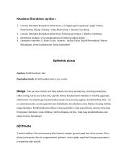 Krikščioniškoji etika lietuvių literatūroje 3 puslapis