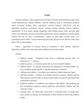 Austrijos valstybės biudžetas, jo formavimas ir 2009-2015 metų dinamikos analizė 3 puslapis