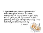 Baltymų patekimo į chloroplastų tilakoido vidų ir membraną eiga 4 puslapis
