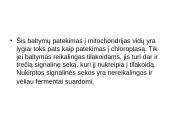 Baltymų patekimo į chloroplastų tilakoido vidų ir membraną eiga 7 puslapis