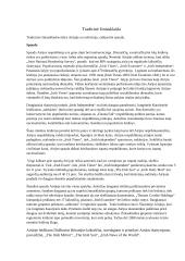 Airijos žiniasklaidos sistemos referatas 2 puslapis