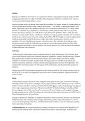 Airijos žiniasklaidos sistemos referatas 3 puslapis