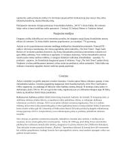 Airijos žiniasklaidos sistemos referatas 4 puslapis