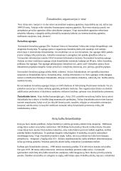 Airijos žiniasklaidos sistemos referatas 5 puslapis