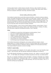 Airijos žiniasklaidos sistemos referatas 6 puslapis