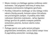 Žalingi įpročiai ir jų prevencija pristatymas 5 puslapis