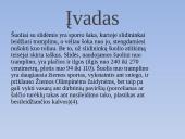 Šuoliai su slidėmis 2 puslapis