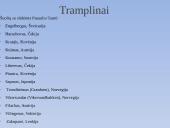 Šuoliai su slidėmis 11 puslapis