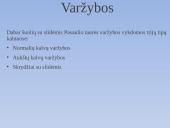 Šuoliai su slidėmis 7 puslapis