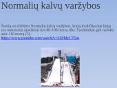 Šuoliai su slidėmis 8 puslapis