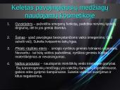 Kenksmingos medžiagos buityje 16 puslapis