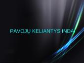 Kenksmingos medžiagos buityje 3 puslapis