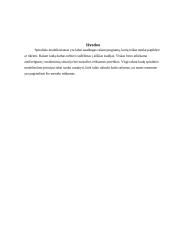 Programų priežiūra ir tobulinimas 6 puslapis
