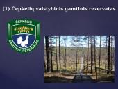 Draustiniai ir rezervatai 13 puslapis