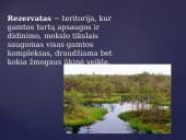 Draustiniai ir rezervatai 9 puslapis