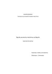 Signalo parametrų matavimas oscilografu 3 puslapis