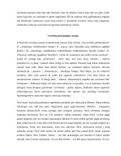 Friedrichas Nietzsche. Antžmogio teorija 4 puslapis