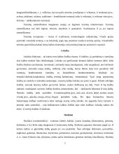 Specialybės terminų tarptautinių žodžių kilmė 5 puslapis