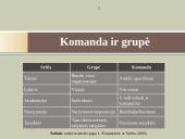 Darbo komandos 2 puslapis