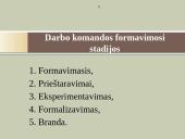 Darbo komandos 5 puslapis