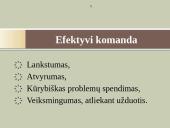 Darbo komandos 7 puslapis