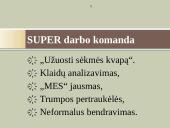 Darbo komandos 8 puslapis