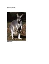 Australia in English 9 puslapis