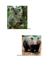 Australia in English 10 puslapis