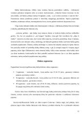 Inovatyvieji/resursiniai baldai 12 puslapis
