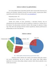 Inovatyvieji/resursiniai baldai 16 puslapis