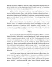 Atstovavimo sąvoka, paskirtis ir rūšys 11 puslapis