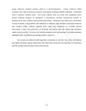 Atstovavimo sąvoka, paskirtis ir rūšys 14 puslapis