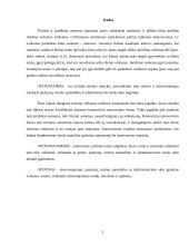 Atstovavimo sąvoka, paskirtis ir rūšys 3 puslapis