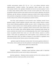 Atstovavimo sąvoka, paskirtis ir rūšys 8 puslapis