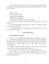 Atstovavimo sąvoka, paskirtis ir rūšys 9 puslapis