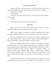 Atstovavimo sąvoka, paskirtis ir rūšys 10 puslapis