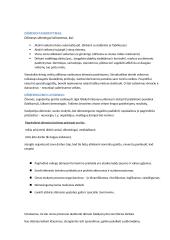 Atminties ir dėmesio vaidmuo 6 puslapis