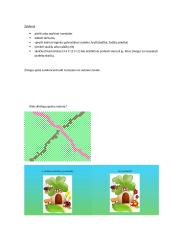 Atminties ir dėmesio vaidmuo 7 puslapis