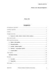 AB „ORLEN Lietuva“ analizė 2 puslapis