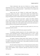 AB „ORLEN Lietuva“ analizė 13 puslapis