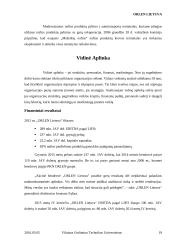 AB „ORLEN Lietuva“ analizė 19 puslapis