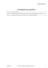 AB „ORLEN Lietuva“ analizė 4 puslapis