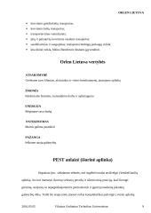 AB „ORLEN Lietuva“ analizė 9 puslapis