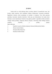 Didžiosios leksikos vartojimo klaidos 3 puslapis