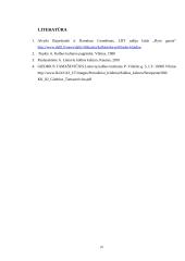 Didžiosios leksikos vartojimo klaidos 10 puslapis