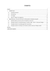 Tiesioginių užsienio investicijos Lietuvoje ir Estijoje 2 puslapis