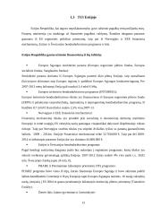 Tiesioginių užsienio investicijos Lietuvoje ir Estijoje 13 puslapis