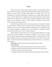 Ofšorai referatas 2 puslapis